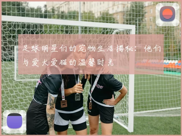 足球明星们的宠物生活揭秘：他们与爱犬爱猫的温馨时光