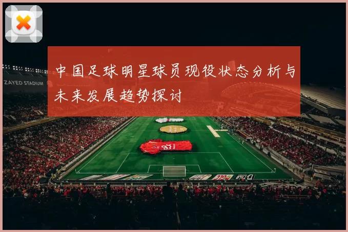 中国足球明星球员现役状态分析与未来发展趋势探讨