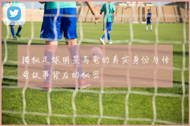 揭秘足球明星乌龟的真实身份与传奇故事背后的秘密