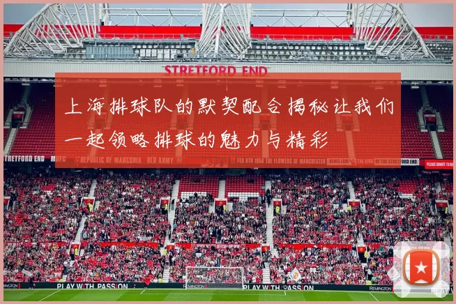 上海排球队的默契配合揭秘让我们一起领略排球的魅力与精彩