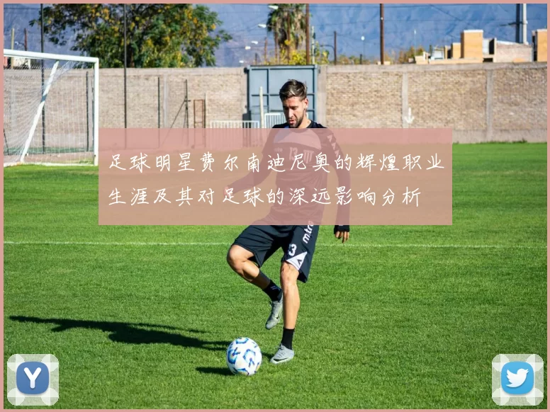 足球明星费尔南迪尼奥的辉煌职业生涯及其对足球的深远影响分析
