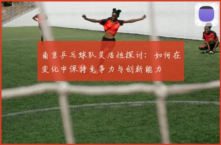 南京乒乓球队灵活性探讨：如何在变化中保持竞争力与创新能力