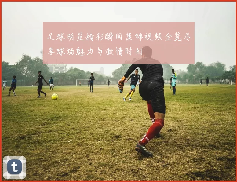 足球明星精彩瞬间集锦视频全览尽享球场魅力与激情时刻