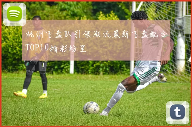 杭州飞盘队引领潮流最新飞盘配合TOP10精彩纷呈