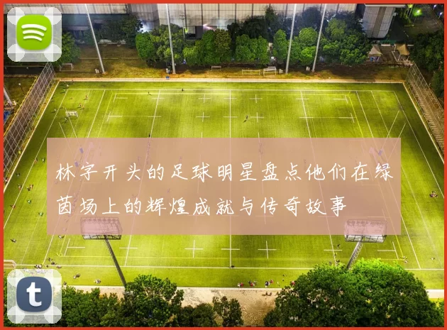 林字开头的足球明星盘点他们在绿茵场上的辉煌成就与传奇故事
