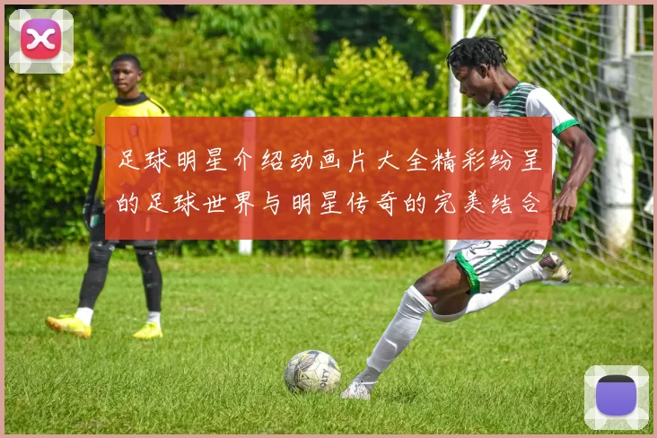 足球明星介绍动画片大全精彩纷呈的足球世界与明星传奇的完美结合