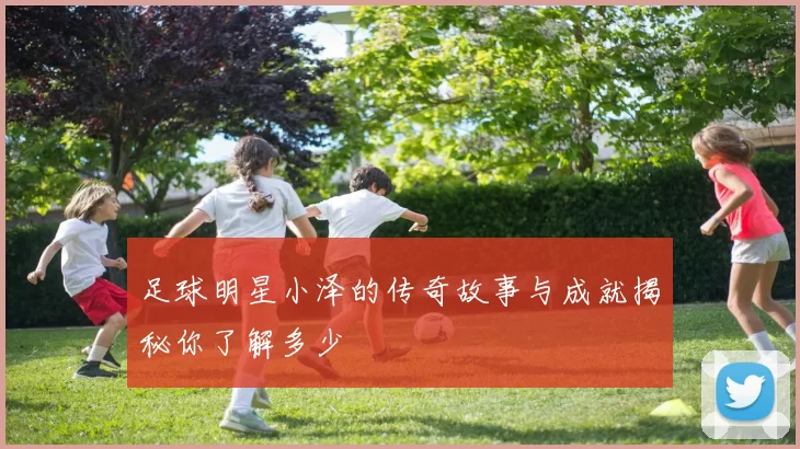 足球明星小泽的传奇故事与成就揭秘你了解多少