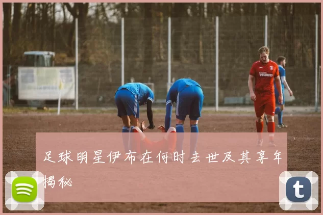 足球明星伊布在何时去世及其享年揭秘