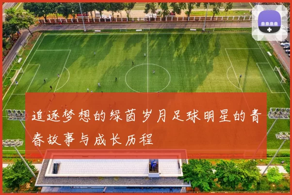 追逐梦想的绿茵岁月足球明星的青春故事与成长历程
