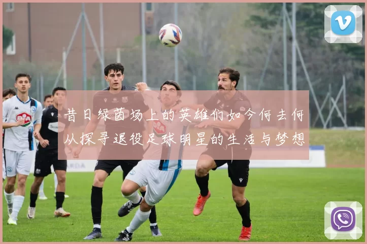 昔日绿茵场上的英雄们如今何去何从探寻退役足球明星的生活与梦想