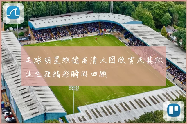 足球明星维德高清大图欣赏及其职业生涯精彩瞬间回顾