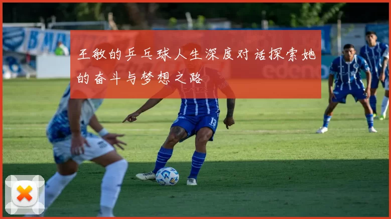 王敏的乒乓球人生深度对话探索她的奋斗与梦想之路