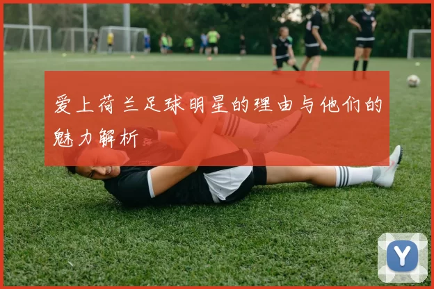爱上荷兰足球明星的理由与他们的魅力解析