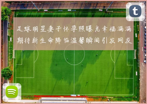 足球明星妻子怀孕照曝光幸福满满期待新生命降临温馨瞬间引发网友热议