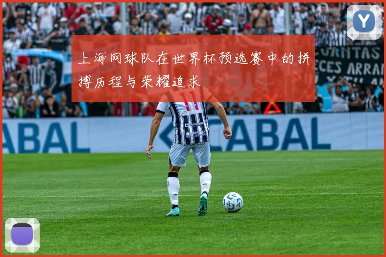 上海网球队在世界杯预选赛中的拼搏历程与荣耀追求