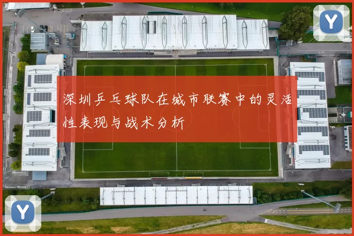 深圳乒乓球队在城市联赛中的灵活性表现与战术分析