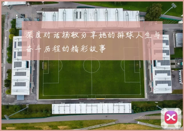 深度对话杨敏分享她的排球人生与奋斗历程的精彩故事
