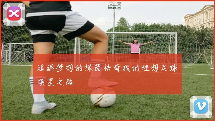 追逐梦想的绿茵传奇我的理想足球明星之路