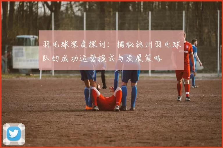 羽毛球深度探讨：揭秘杭州羽毛球队的成功运营模式与发展策略