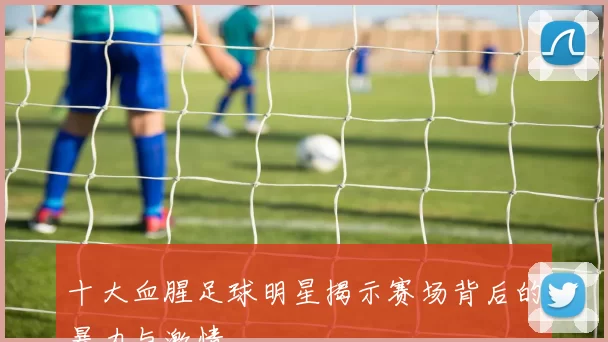 十大血腥足球明星揭示赛场背后的暴力与激情