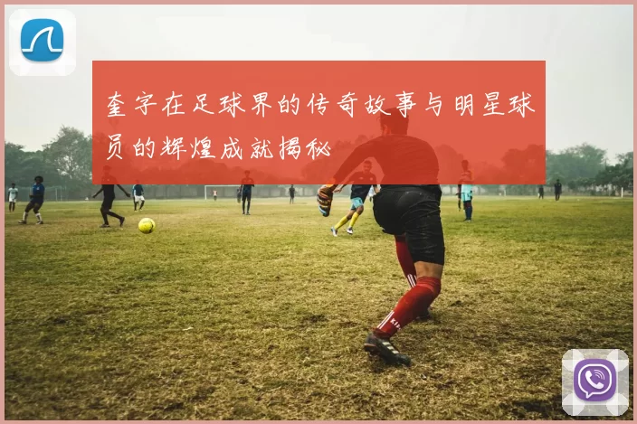奎字在足球界的传奇故事与明星球员的辉煌成就揭秘