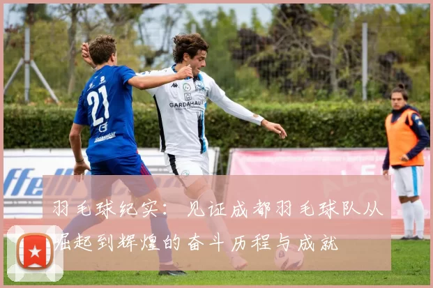羽毛球纪实：见证成都羽毛球队从崛起到辉煌的奋斗历程与成就
