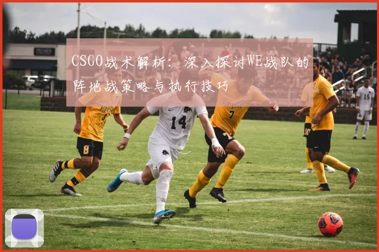CSGO战术解析：深入探讨WE战队的阵地战策略与执行技巧