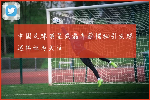 中国足球明星武磊年薪揭秘引发球迷热议与关注